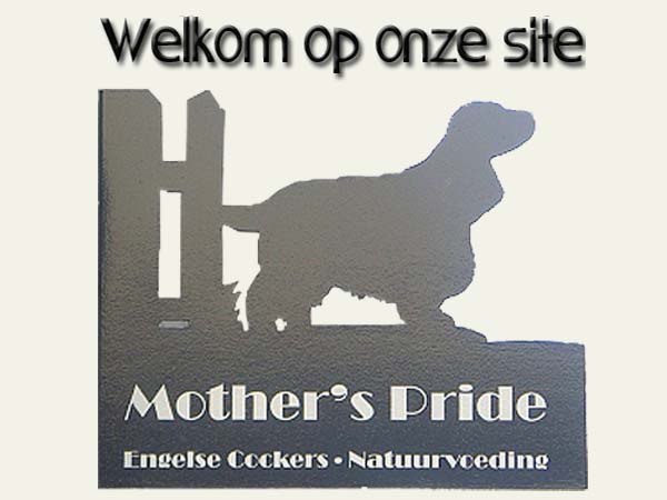 welkom